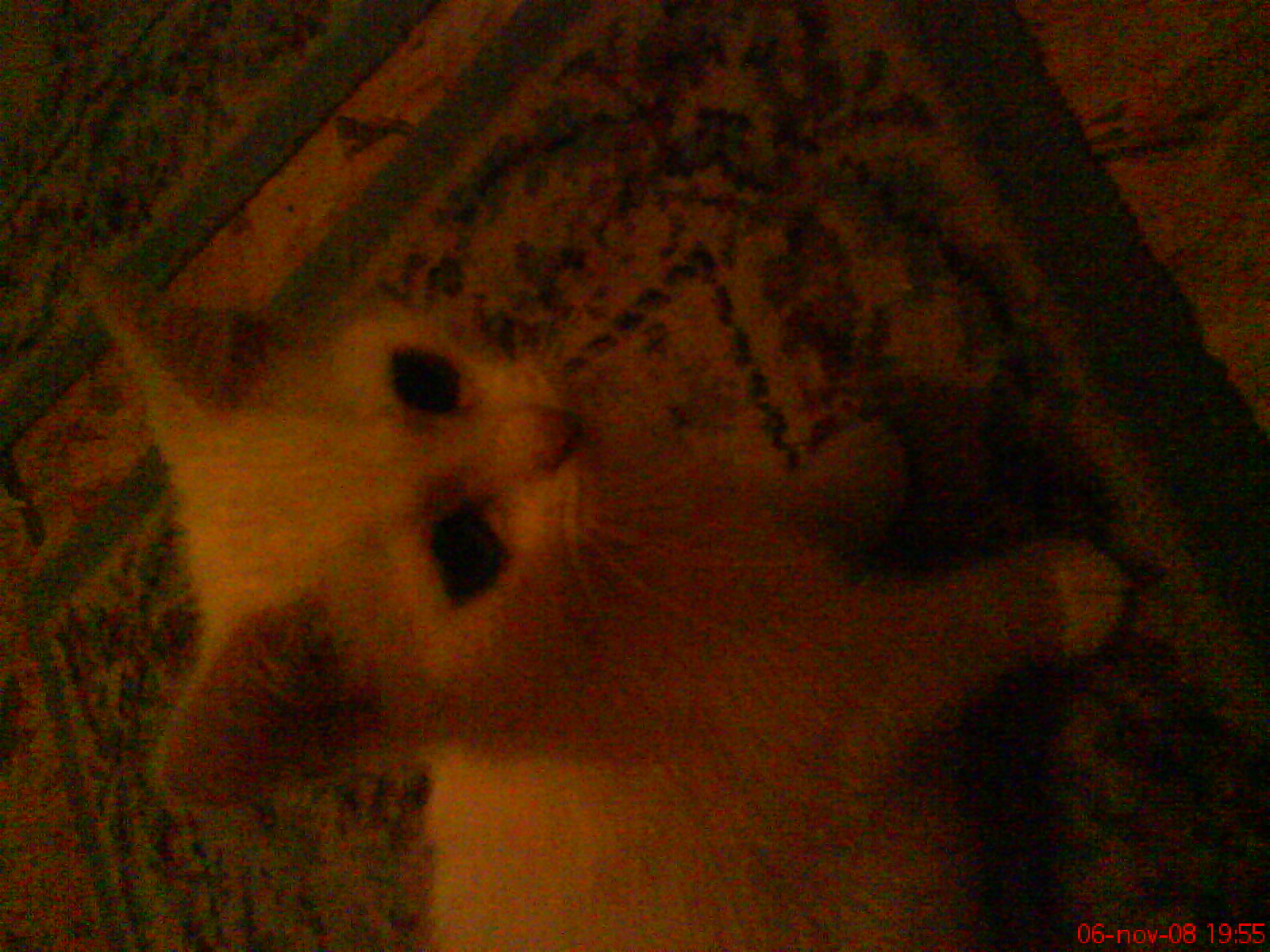 DSC00469.JPG
