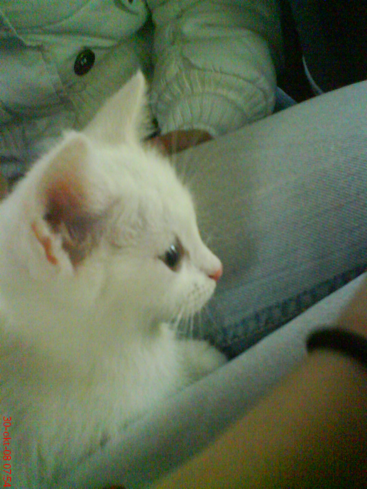 Nelka
